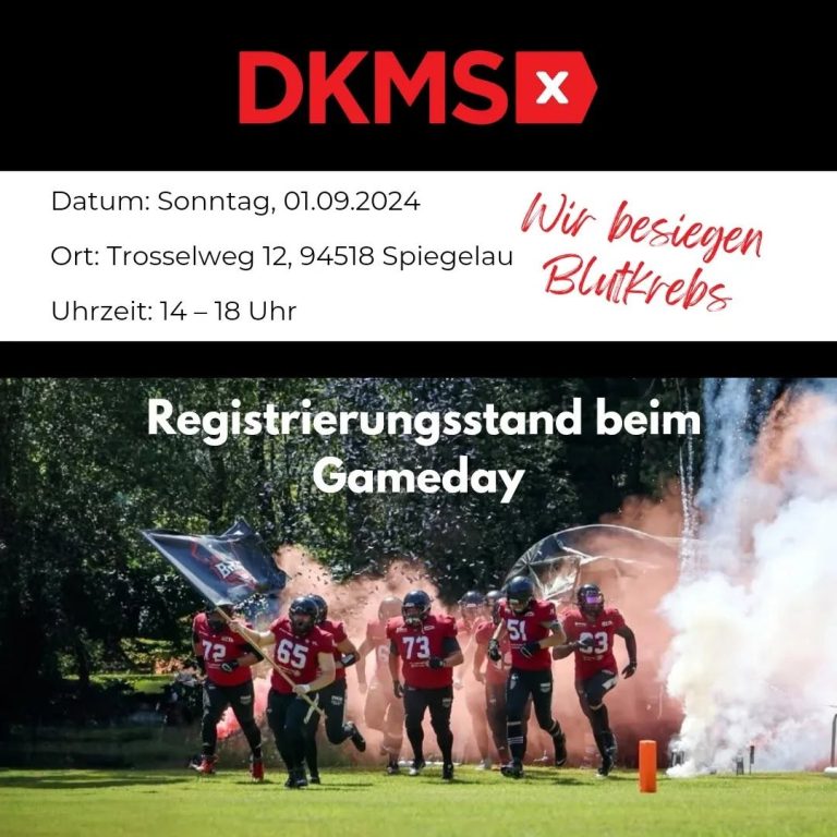 Perlesreut Bats