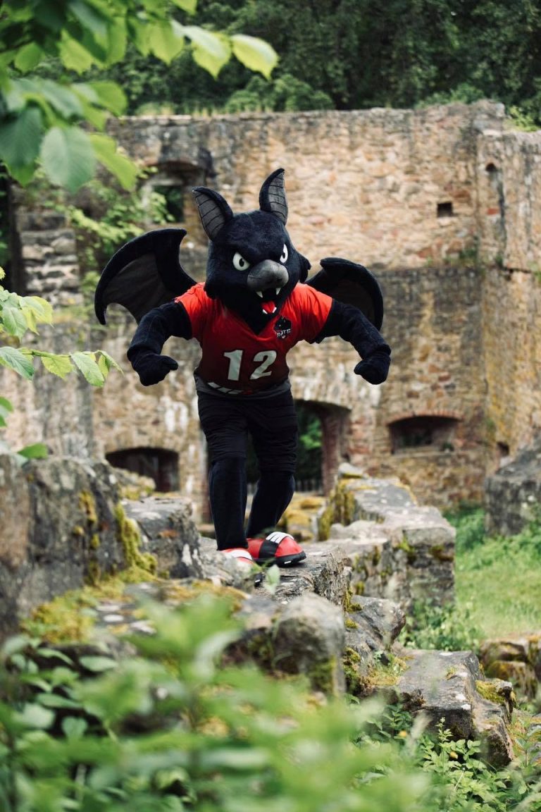 Perlesreut Bats