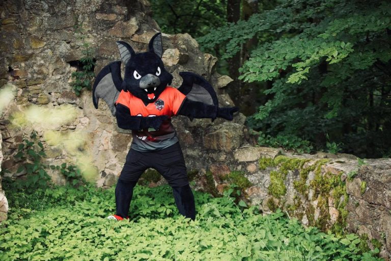 Perlesreut Bats