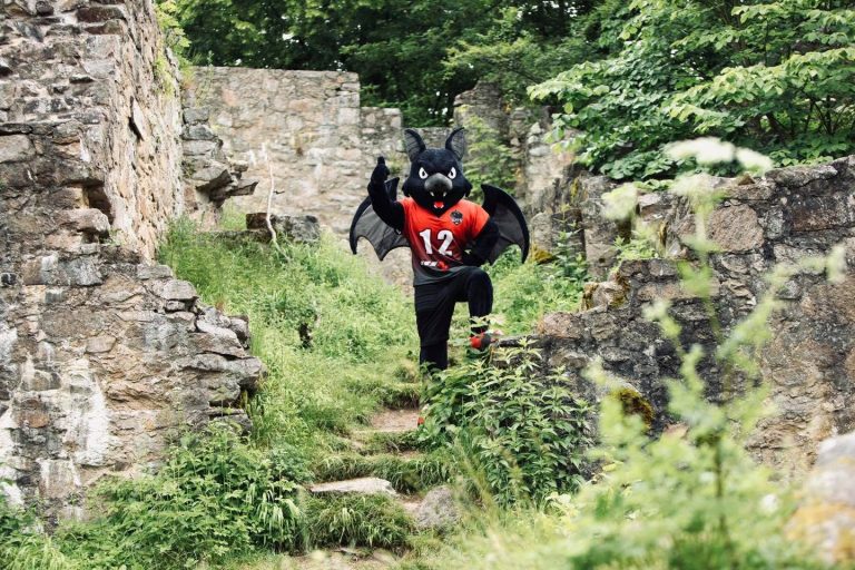 Perlesreut Bats