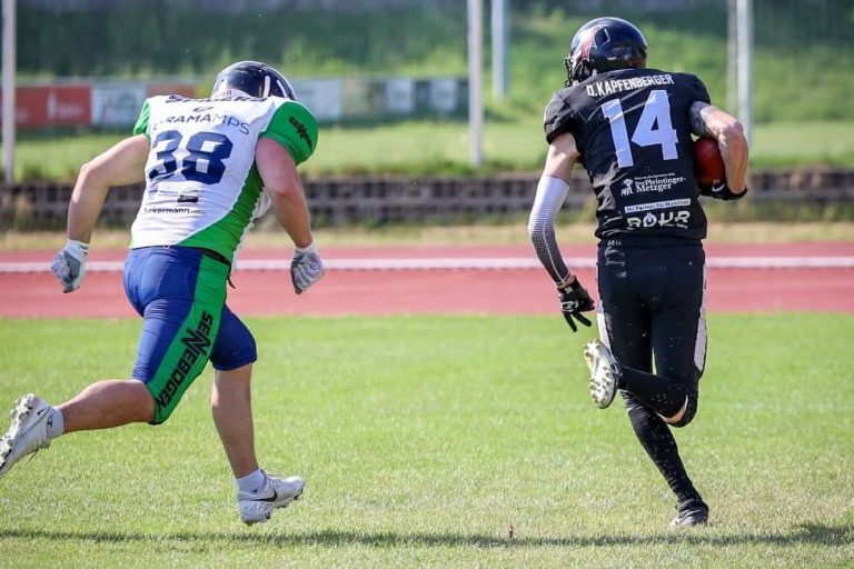 Perlesreut Bats