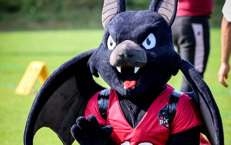 Perlesreut Bats